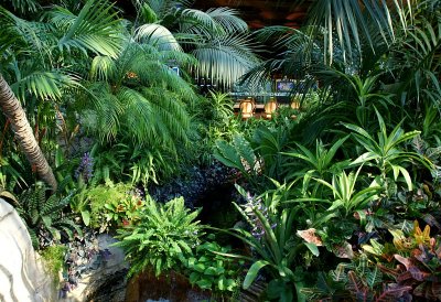 Mirage Casino Through the Palms