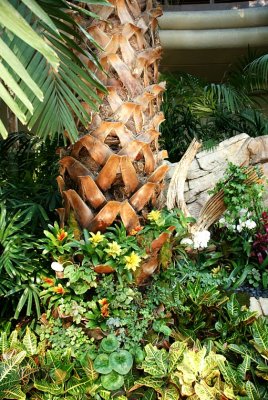 Tropical Gardens Inside the Mirage Casino 