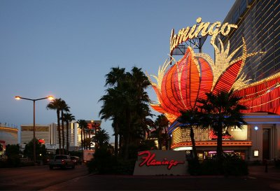 Flamingo Hilton at Twilight