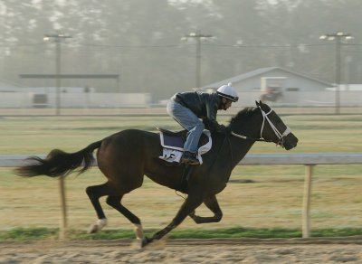 g4/29/809929/3/140067725.eQUEfqJz.jpg