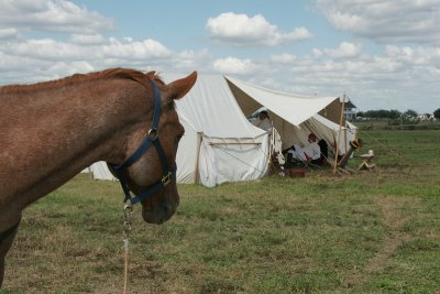 Mexican Camp