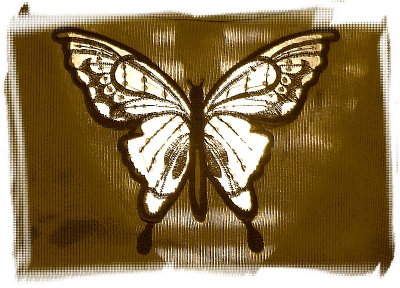 BUTTERFLY