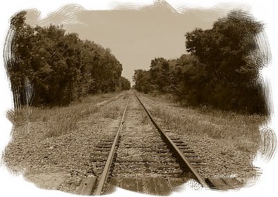 TRAIN