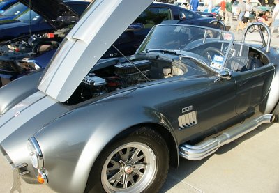 Shelby