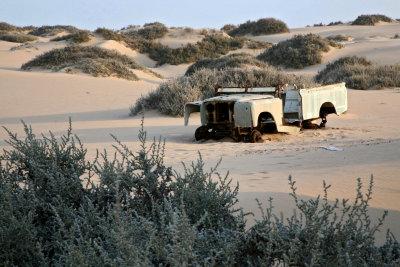 The Skeleton Coast