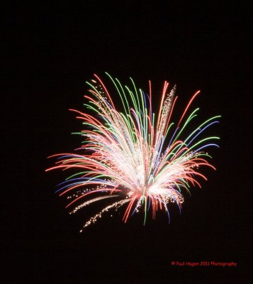PGI 2011 B WM.jpg