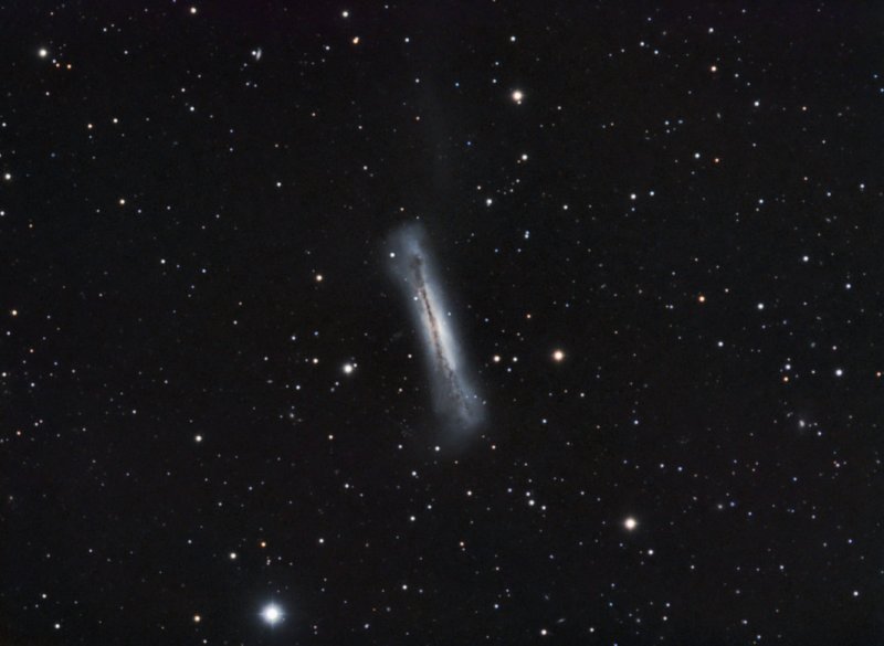NGC3628 - Sarahs Galaxy or Hamburger Galaxy