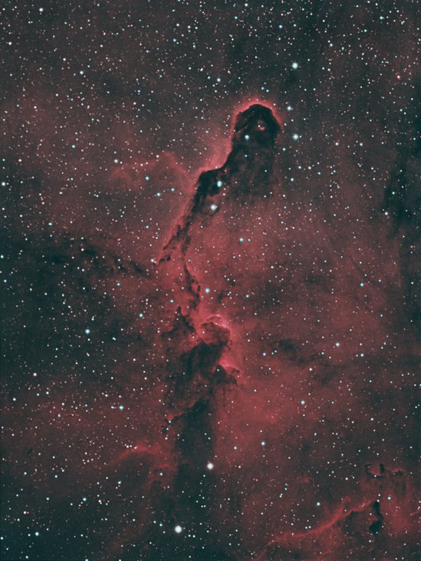 IC1396 - Elephants Trunk nebula in Ha and OIII