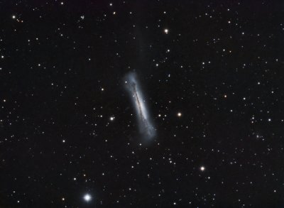 NGC3628 - Sarah's Galaxy or Hamburger Galaxy