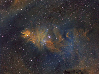 NGC2264 - Cone and Fox Fur nebulae in HST palette