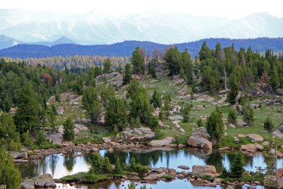 Wyoming and Montana