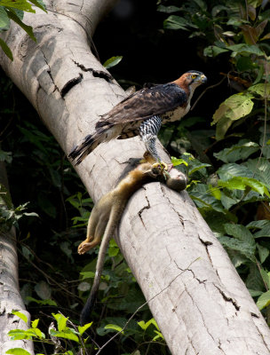 ecuador