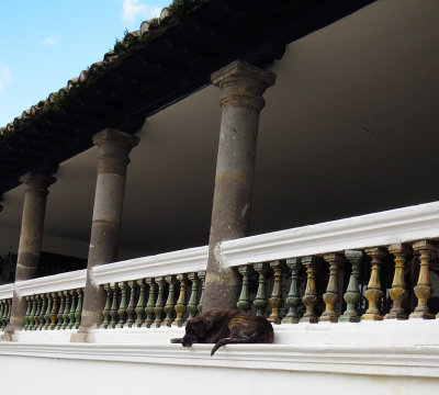 Hacienda Zuleta