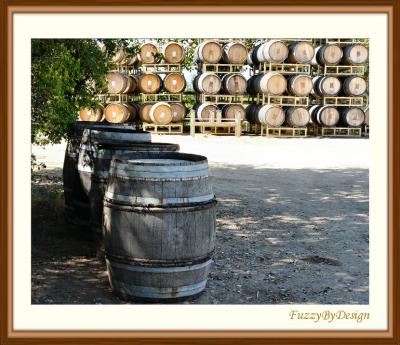 dsc08839 wine barrel yard.jpg