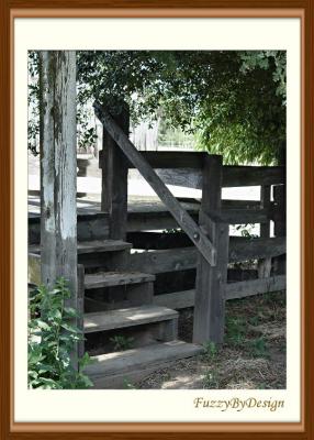 dsc08929 old wooden steps.jpg