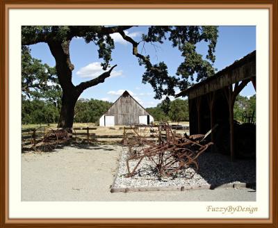 dsc08881museum barns and oak