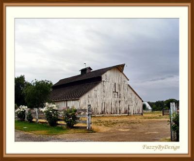 dsc08752 main barn.jpg