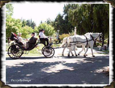 dsc09254 sample crockets coach profile.jpg