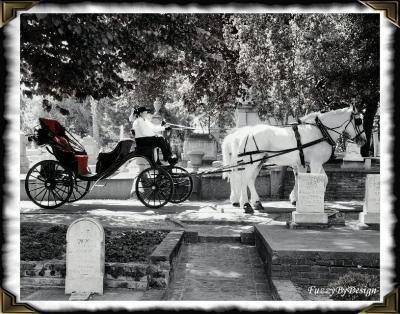 dsc09280 sepia color blend