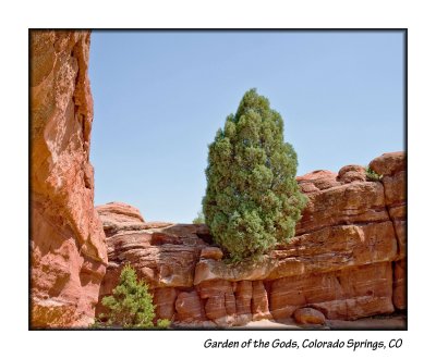 11_Garden of the Gods_024.JPG