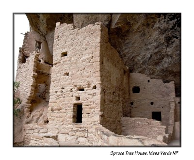 11_Spruce Tree House_137.JPG