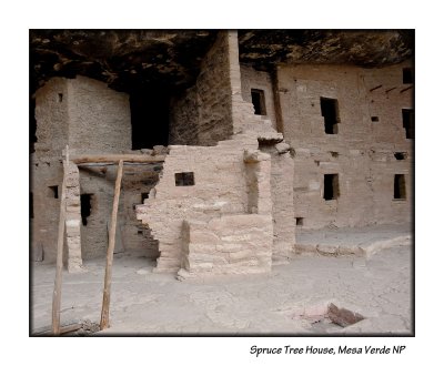 11_Spruce Tree House_139.JPG