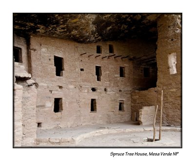 11_Spruce Tree House_144.JPG