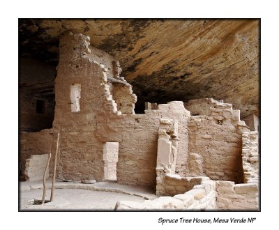 11_Spruce Tree House_145.JPG