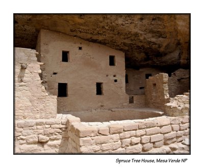 11_Spruce Tree House_156.JPG