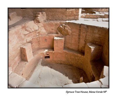 11_Spruce Tree House_161.JPG