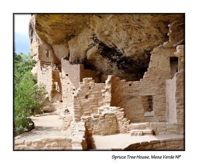 11_Spruce Tree House_163.JPG
