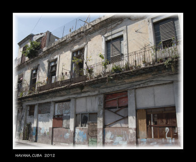 12 Havana_375_edited-1.jpg