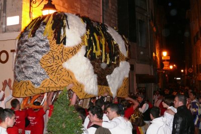 sP1650456.JPG
