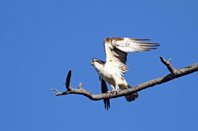IMG_4205 e1cw.jpg