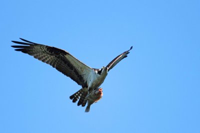 IMG_4208 e1cw.jpg