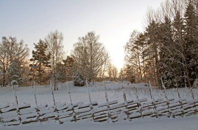 Winterlandscape