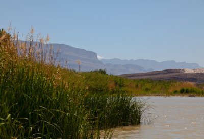 IMG_0340.jpg