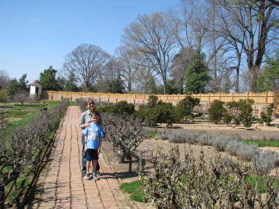 Mt. Vernon Gardens