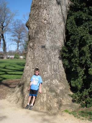 Preston at tree that George planted