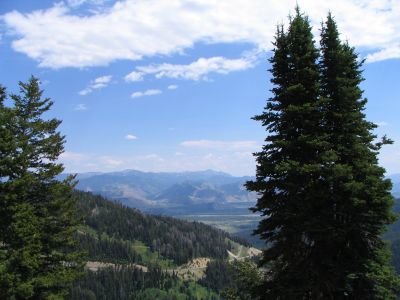 Looking east  toward Jackson from Teton Pass