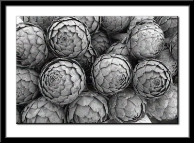 IMG_8238BW.jpg