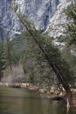 The Wintery Yosemite - 03/28/12