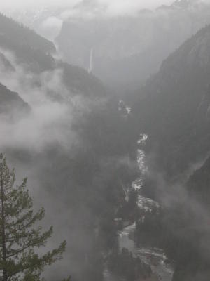 The Serpentine Merced River  Winding Its Way Thru The Yosemite Canyon (IMG_2805.JPG)