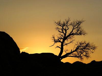 Sunrise 3