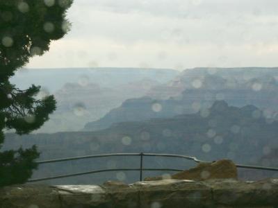 Photo taken from inside the bus of the Grand Canyon