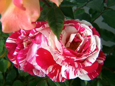 g4/30/24830/3/62302884.7m2cEGDn.jpg