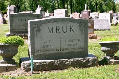 g4/30/250930/3/55366714.Mruk.jpg
