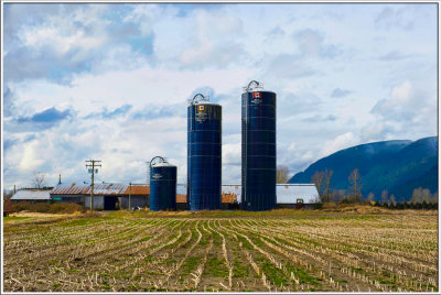 Silos and the stubble field