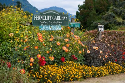 A morning at Ferncliff Gardens