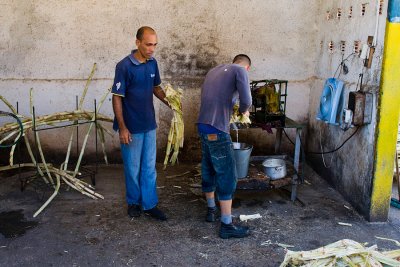 Squeezing sugar cane for a cane drink